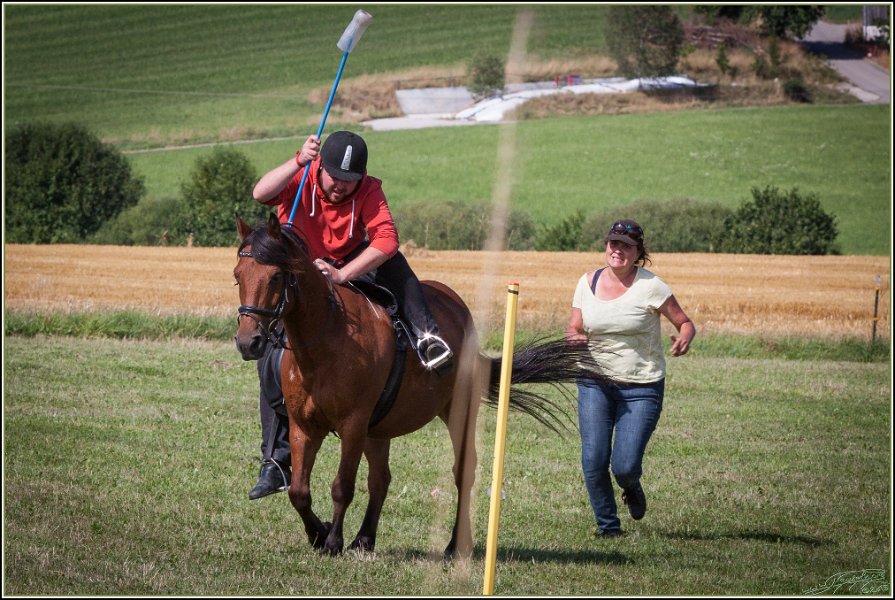 Mounted Games 286